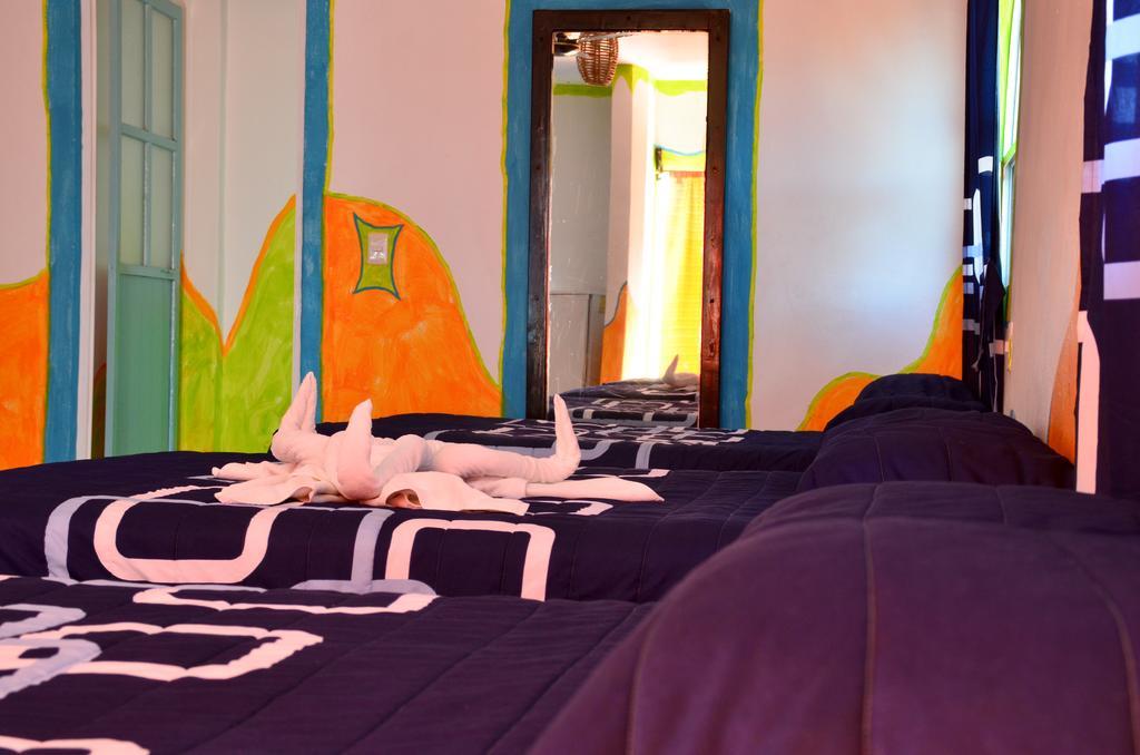 Adventure Experience Hotel Playa del Carmen Ngoại thất bức ảnh